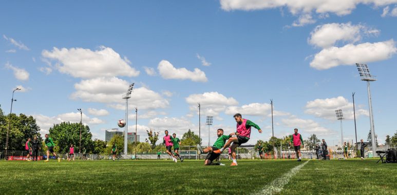 Gra wewnętrzna Warty Poznań