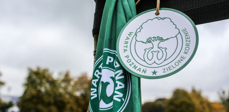 Drzewo Warty Poznań w Parku Jana Pawła II
